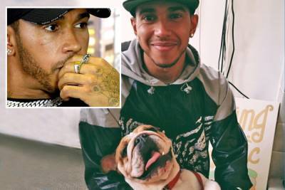 Lewis Hamilton - Lewis Hamilton devastated as dog Coco dies in his arms after having a heart attack at home - thesun.co.uk