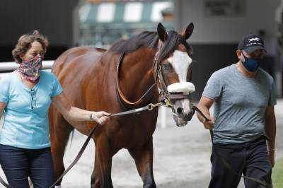 Belmont sets pace for Triple Crown, with Tiz the Law favored - clickorlando.com - New York