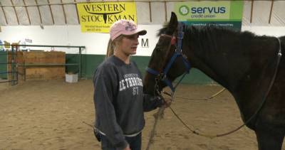 Lethbridge - Lethbridge Therapeutic Riding Association uplifts seniors with therapy animals amid COVID-19 - globalnews.ca