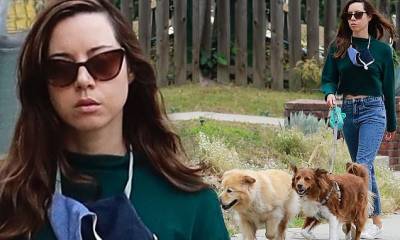 Aubrey Plaza shows off her flat tummy in a green crop top while walking her dogs - dailymail.co.uk - Los Angeles - city Los Angeles
