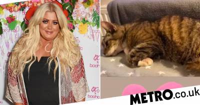 Gemma Collins - Gemma Collins believes her cat Twinkle died from coronavirus after ‘breathing problems’ - metro.co.uk