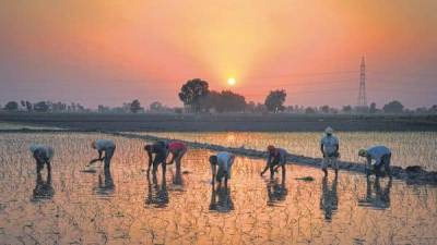 How a niche VC brought agritech into the sunlight - livemint.com - India