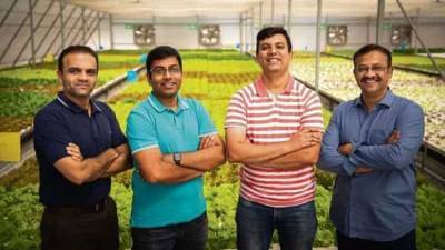Bengaluru startup brings produce from greenhouses to plates - livemint.com - India