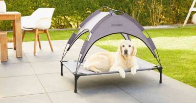 Lidl launches £20 sun bed for pets to keep them cool during UK summer heatwave - dailystar.co.uk - Britain