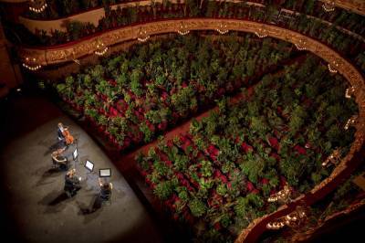 Plants fill seats at Barcelona opera house concert - clickorlando.com - Spain