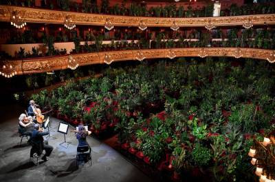 Barcelona Opera House Fills Seats With Plants For Socially Distanced Concert - billboard.com - Spain