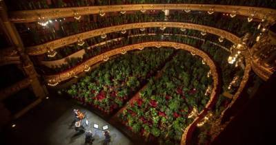 Barcelona opera house reopens to an audience of plants - globalnews.ca - Spain