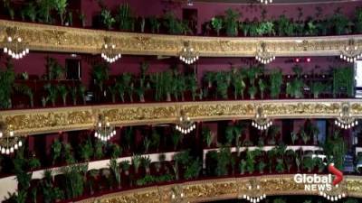 Coronavirus: Barcelona’s opera performs for audience of house plants - globalnews.ca
