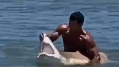 Swimmer caught on camera catching shark off Delaware coast - fox29.com - state Delaware - state Henlopen