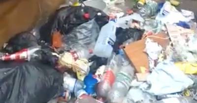 Nicola Sturgeon - Horrifying video shows giant dead rats littered amongst rubbish picked up by Glasgow binmen - dailyrecord.co.uk
