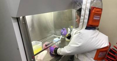 ‘Nanosponges’ act as a decoy for the new coronavirus - medicalnewstoday.com