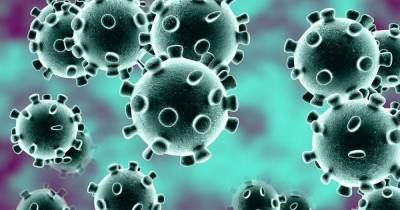 Coronavirus deaths across South Lanarkshire remained static last week - dailyrecord.co.uk - Scotland