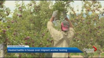 Travis Dhanraj - Coronavirus: Heated battle at Ontario legislature over migrant worker testing - globalnews.ca - county Windsor