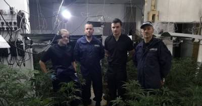 Huge £1m cannabis farm found in empty shop - manchestereveningnews.co.uk