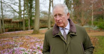 Meghan Markle - prince Harry - Charles Princecharles - Prince Charles's Duchy income rises to £22.2m - but faces challenge next year - mirror.co.uk