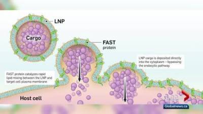 Su Ling Goh - Alberta Covid - Health Matters: Alberta COVID-19 vaccine advancing to human testing - globalnews.ca