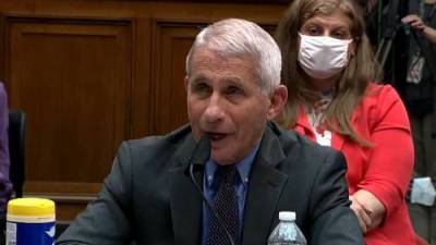 Coronavirus: Dr. Fauci gives advice for Florida, U.S. states seeing surge in COVID-19 cases - globalnews.ca - state Florida