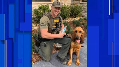 Rick Staly - Video: K9 helps locate missing boy with disabilities in Flagler County - clickorlando.com - state Florida - county Flagler