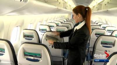 Carolyn Kury De-Castillo - Coronavirus: WestJet, Air Canada opening up middle seat for passengers - globalnews.ca - Canada