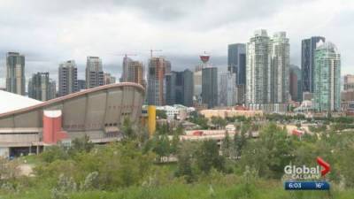 Lauren Pullen - Calgary’s business sector optimistic after province reveals recovery plan - globalnews.ca