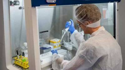 Mutations may be making coronavirus more contagious: Researchers - livemint.com - Washington - city Washington - city Chicago