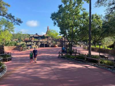 7 things passholders noticed on their first day back to Magic Kingdom, Animal Kingdom - clickorlando.com
