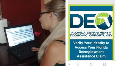 Linda Stewart - State Sen. Stewart delivering unemployment files to DEO Office - clickorlando.com - city Tallahassee - city Orlando