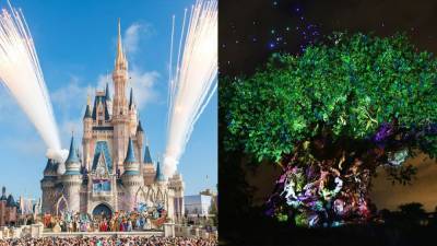 Disney World reopens Saturday: Safety measures, attractions, and everything you need to know before you go - fox29.com