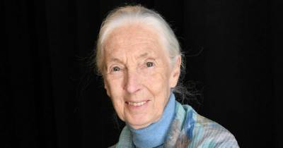 Jane Goodall - Jane Goodall warns coronavirus was 'inevitable' as humans 'disrespect nature' - mirror.co.uk - Britain - Tanzania