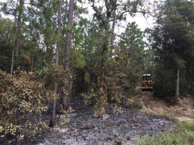 Crews work to contain wildfire apparently caused by lightning, officials say - clickorlando.com - state Florida - county Marion