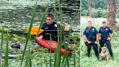 Police officer uses kayak to rescue struggling dog trapped in muddy NJ pond - fox29.com - Washington - state New Jersey - city Washington