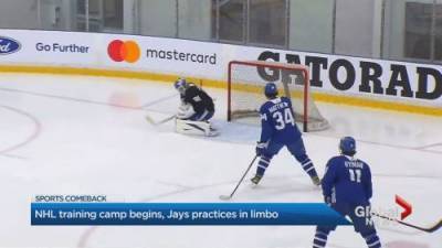 Tom Hayes - Coronavirus: Toronto Maple Leafs training camp begins, Blue Jays practices in limbo - globalnews.ca