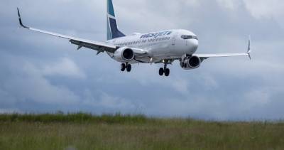 WestJet increases flights for August amid coronavirus pandemic - globalnews.ca