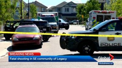 One dead after shooting in Calgary’s southeast - globalnews.ca