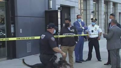 Tech CEO's personal assistant arrested in gruesome killing - fox29.com - New York