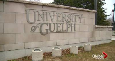 Coronavirus: University of Guelph caps number of students in residences - globalnews.ca