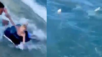 WATCH: Off-duty officer jumps in to save boy from shark that got ‘dangerously close’ at Florida beach - clickorlando.com - state Florida - city Cocoa Beach