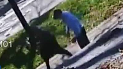 Police search for man seen in video robbing 81-year-old Air Force veteran - clickorlando.com