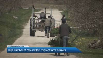 What’s behind the spike in COVID-19 cases among migrant workers? - globalnews.ca
