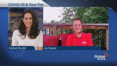 Laura Casella - Ensuring your pet’s (and your own) safety while visiting the vet - globalnews.ca