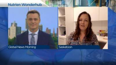 Saskatoon Wonderhub reopen plan - globalnews.ca