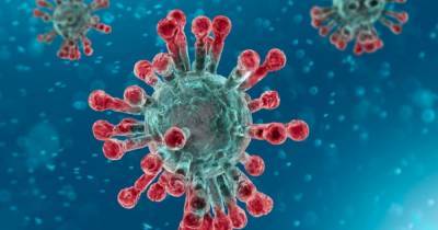 Coronavirus Scotland: No deaths and 10 new cases taking total cases to 18,484 - dailyrecord.co.uk - Scotland