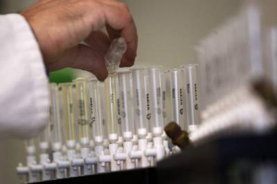 Florida man accused of steering urine tests to drug lab - clickorlando.com - state Florida - county Palm Beach - state Pennsylvania