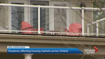 Matthew Bingley - Coronavirus: Real estate market in Ontario’s cottage country experiencing boom - globalnews.ca - county Ontario
