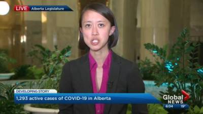 Alberta Health - Deena Hinshaw - Julia Wong - Alberta’s top doctor says increase in COVID-19 cases a ‘wake up call’ - globalnews.ca