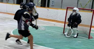 Coronavirus: Quick transition allows box lacrosse to return in Saskatoon - globalnews.ca