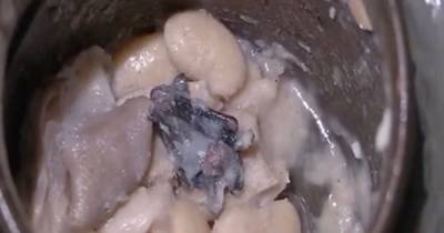 Family's coronavirus nightmare after finding dead bat in their half-eaten frozen soup - dailystar.co.uk - China