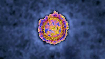 Humans are mutating COVID-19 virus, but it is fighting back, scientists say - fox29.com