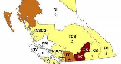 Coronavirus Outbreak - Okanagan region leads B.C. in number of new COVID-19 cases - globalnews.ca - county White - county Rock - county Delta - region Okanagan