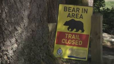 Paul Johnson - North Vancouver park to stay closed temporarily after bear attack - globalnews.ca